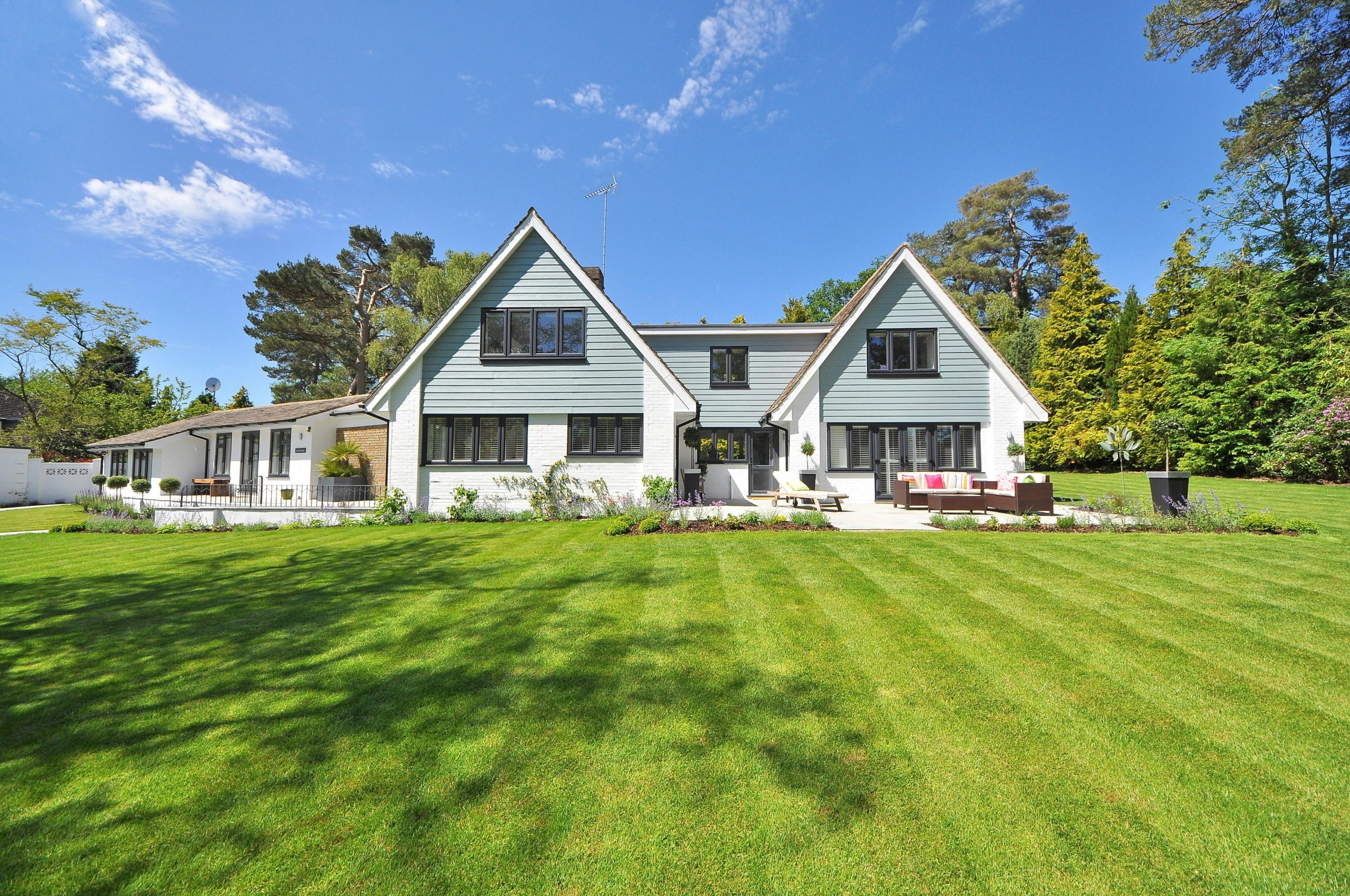 different replacement window styles featured in a modern home